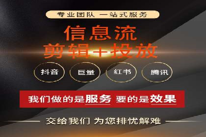 案例分析：短视频平台信息流广告效果评估